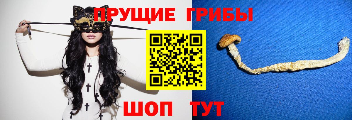 как найти   Вход с VPN  Галлюциногенные грибы Cubensis  Ейск  Псилоцибиновые грибы GOLDEN TEACHER 