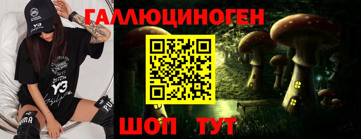 Галлюциногенные грибы Psilocybine cubensis Ейск